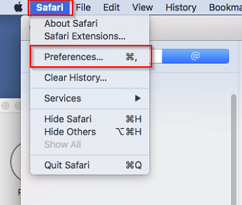 Safari Preference